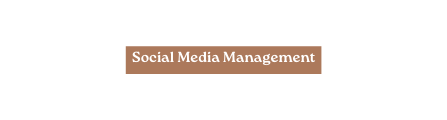Social Media Management